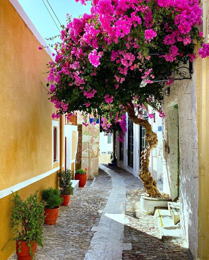 Syrosislandgr's tweet photo. It's not a lie where the flowers bloom so does hope!
#Syros #tillthen #staysafe #stayhome #dreamonline #syros4seasons #SyrosIsland #WeAreSyros #VisitSyrosLater #Cyclades #Greece
πΈ: @atisirana https://t.co/xP6QmgS7Si