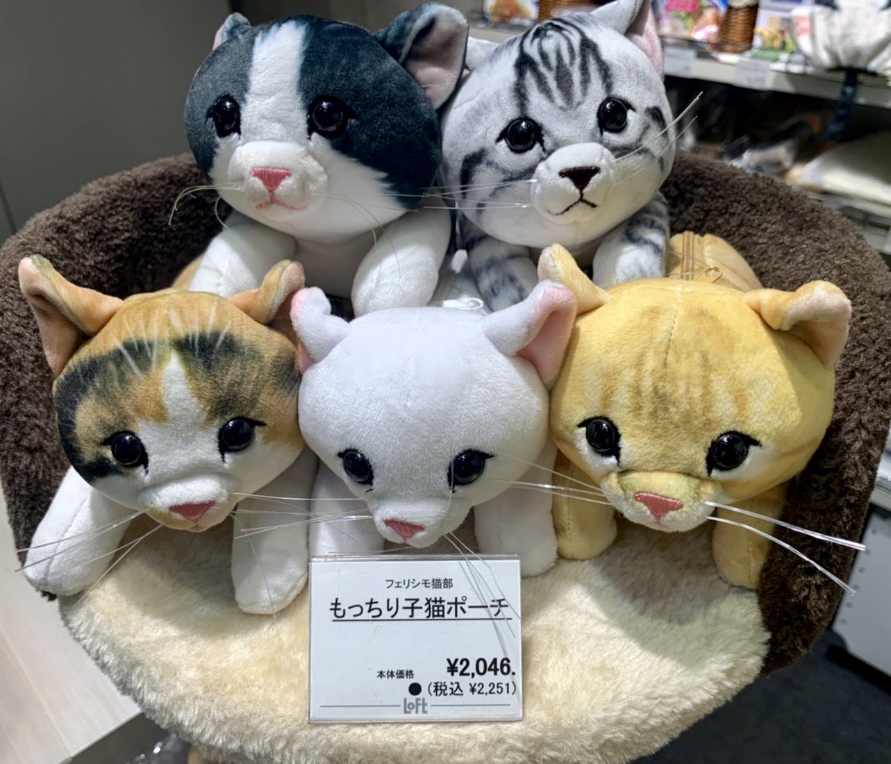 梅田ロフト Pa Twitter フェリシモ猫部 手触りもっちりな子猫ポーチ ペットボトルの水滴をキャッチしてくれる便利なペットボトルタオル 海外の子猫用ミルク缶をイメージしたバニティー 可愛い商品がたくさんございます T Co 9d3ng2juul 4 12 梅田ロフト Pa Twitter フェリシモ猫部 手触りもっちりな子猫ポーチ ペットボトルの水滴をキャッチしてくれる便利なペットボトルタオル 海外の子猫用ミルク缶をイメージしたバニティー 可愛い商品がたくさんございます T Co 9d3ng2juul 4 12