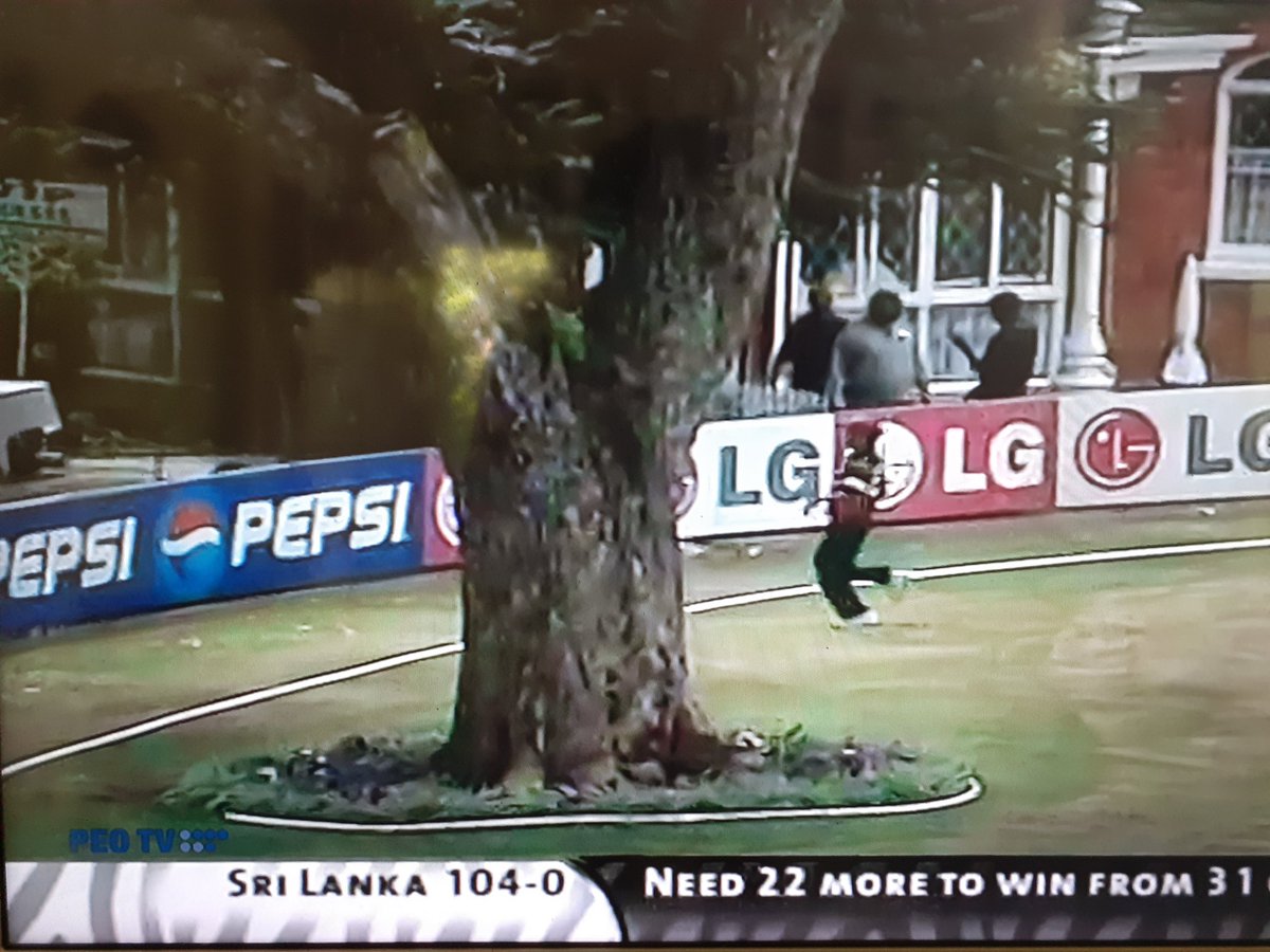 avanthaj's tweet photo. this is sri Lanka vs bangladesh in 2003 world cup. here vass got a hat-trick and the ground had a tree. #cricket https://t.co/n9ZGcyKfcl