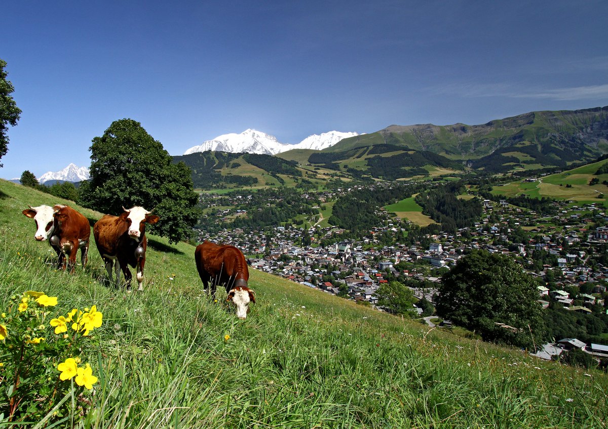GroupePVCP's tweet photo. À proximité de la résidence @Pierre_vacances #LeMontdArbois certifiée @ClefVerte, découvrez la station village de #Megeve en #HauteSavoie labellisée #FloconVert, qui se distingue par ses actions engagées depuis plusieurs années. #PVCPChezVous #DD ➡️ https://t.co/b4MfY3tEev https://t.co/bhrmC99J7O