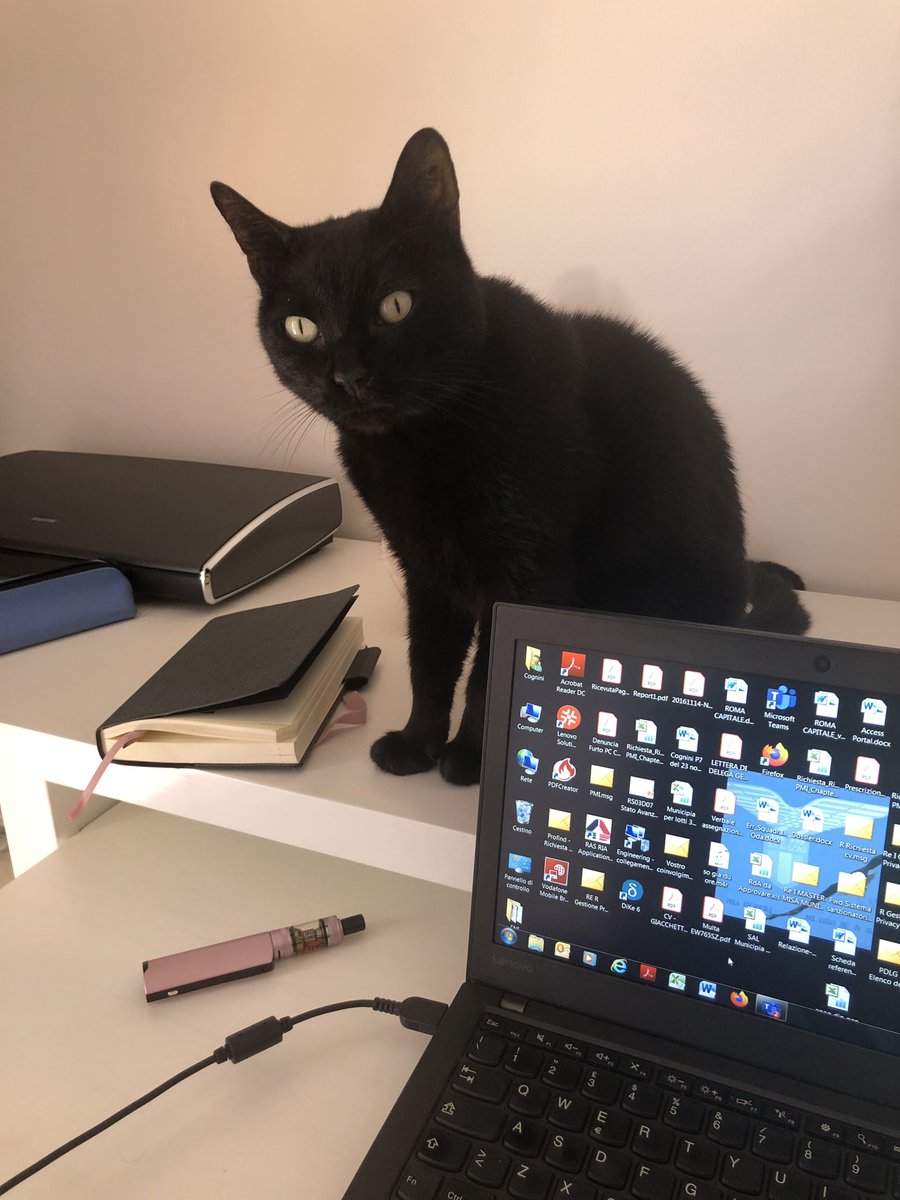 mariachiara71's tweet photo. #asrn #smartworking la mia assistente personale😍 https://t.co/VwnzcEC5kt