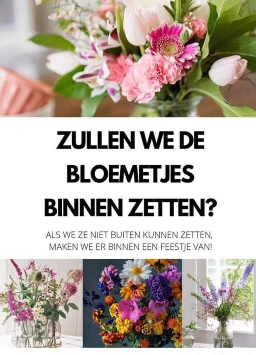 #klok1 <a href="/FloraHolland/">Royal FloraHolland</a>