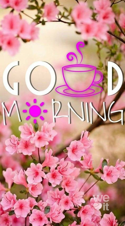 Kaia_Cindy's tweet photo. @Alexa17101614 @virgyane @khanhakim_k @LuisMiguelClav1 @FlowergirlPaula @WALLI27 @elisabeth_petit @F3Warei @Rossano_v_ @m_studart @1_sakaus @sherrig108 @BaironNavarete @dilruba_lees @TaposKumarBasu @jakylyola @Hanogi3 @debratankersle1 @444saleem @CristinPereyra @psrimanta @monicasloves @heroldbarton @MamCivi @shahnaqi84 @AboodMo23548664 @TShinkarenko @x2w4m6r8 @Skjha196 @LifeRemakes @shinunao2 @zerok_z @YNHallak @PatGrant7777 @ZEYNAZERDA @voicara @vicky_zarazua @victoria_victo3 @ranasilvia63 @PetalsTm @antoniaparra8 @luisalarosa @ynfqn318 @sachiko32114428 @11Esperena @luzma04042407 @Lily_Tmlily @jet_new @LannyHunt2 @tadayokun #GoodMorning
#happwednesday https://t.co/ARPIdO6oWd