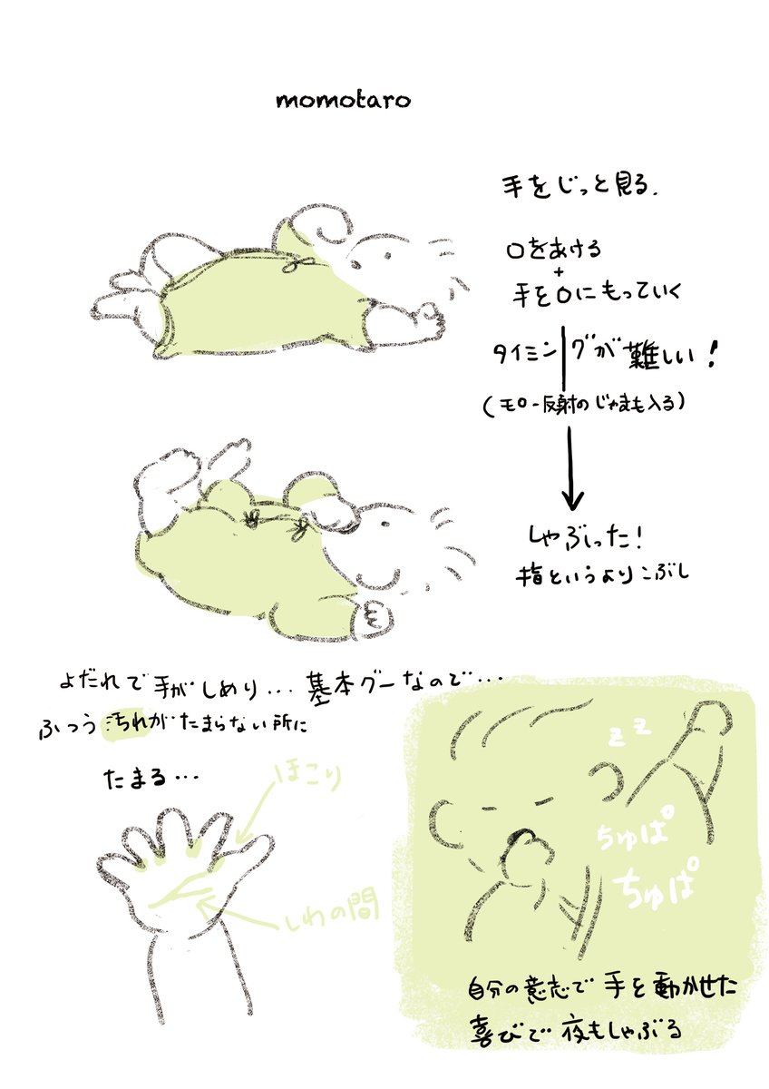 #TLを赤ちゃんでいっぱいにする
@kodomoe さんの連載で赤ちゃんたくさん書いてます? 