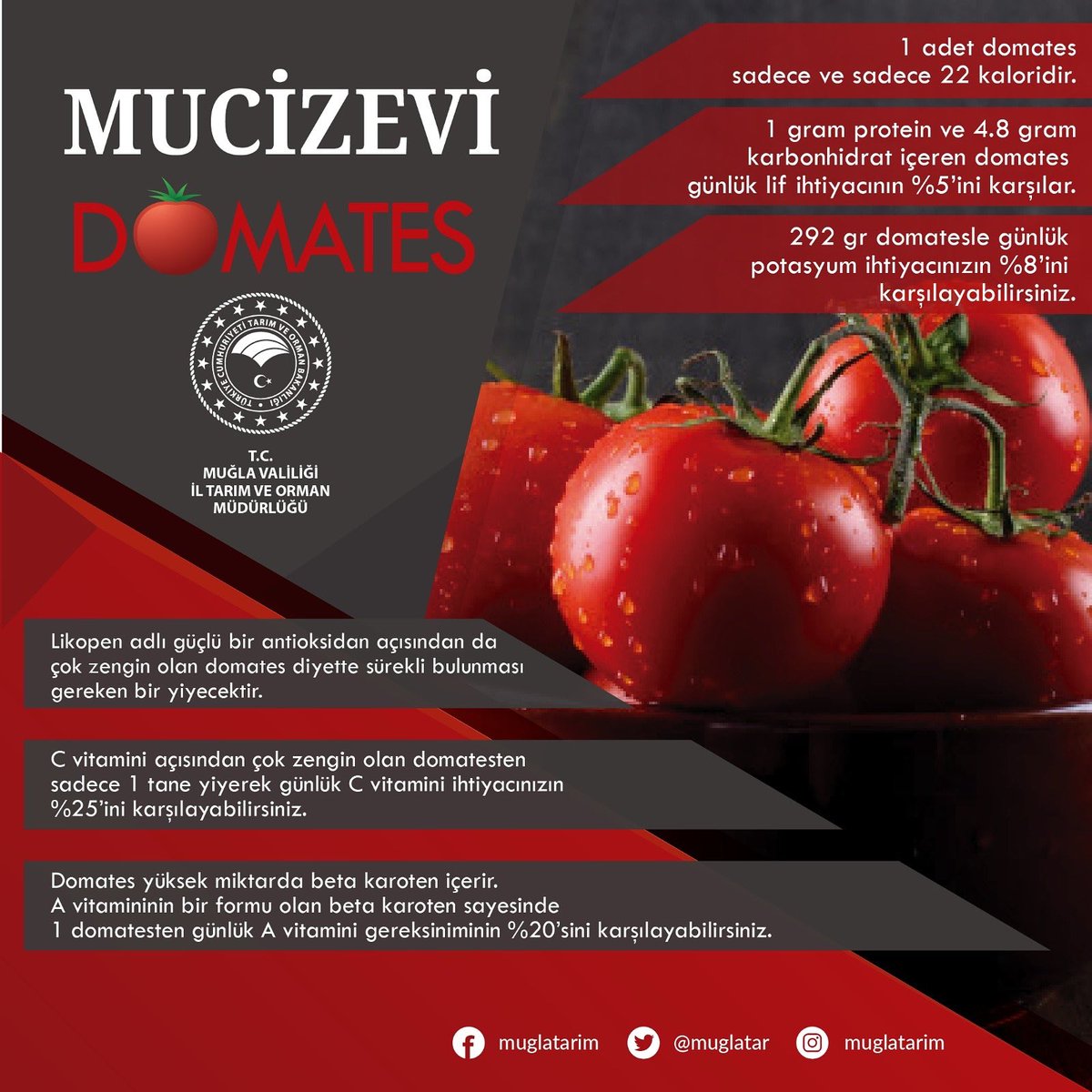 48tarim's tweet photo. 🍅 MUCIZEVI DOMATES 🍅
https://t.co/tkP4fDqqQG
@barissaylak @bekirpakdemirli @TCTarim @fatihmetintr @mustafaaksutr
#domates #lifkaynağı #şifa #cvitamini #avitamini #likopen #antioksidan #bağışıklıkgüçlendirici #evindekalmoola #birlikteyeneceğiz #hepbirlikteyeneceğiz https://t.co/7Ry3WpbMTe