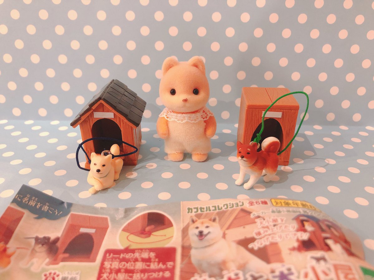 Akr 物欲の秋到来 Auf Twitter ちょっと久々の今日のガチャガチャ この前ガチャったエポック社さんのやつです 柴犬 かわいい 三角屋根の小屋が可愛いでしょ 赤ちゃんサイズで お散歩行けるよ 動物のペットが動物問題が起きる シルバニア