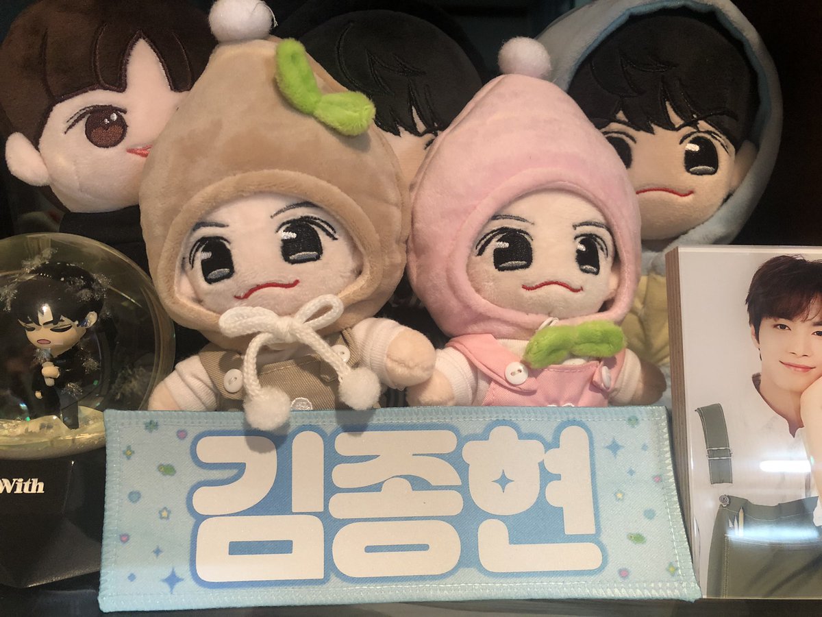 onlyboogi's tweet photo. 팬미팅 마지막 날이었나? 그때 주문한 아감이가 오늘 거짓말처럼 내품에 왔다. 나도 아감이 있다. 흐흑.. 진짜 너무너무너무 귀여워.아감이는 진짜 데리고 다녀야지. #아기감자 #김종현 @Baby_potato68 https://t.co/4XAcyxQNwO
