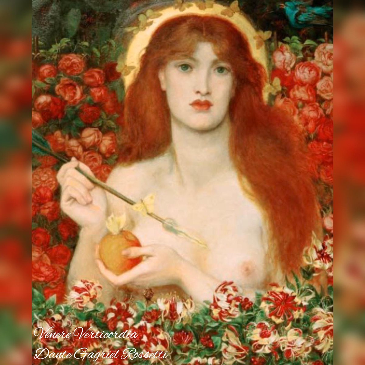 NoraZonaArcheo's tweet photo. 1 𝐀𝐩𝐫𝐢𝐥𝐞, epoca Romana, giorno dedicato a 𝐕𝐞𝐧𝐞𝐫𝐞 𝐕𝐞𝐫𝐭𝐢𝐜𝐨𝐫𝐝𝐢𝐚 , “𝐶ℎ𝑒 𝑎𝑝𝑟𝑒 𝑖 𝑐𝑢𝑜𝑟𝑖”. Da 𝐍𝐨𝐫𝐚 2 statuette #1aprile #venere #veneralia #cultiromani #archeologia #arqueologia #archeology #visitpula #norapula #visitsardinia #dantegabrielrossetti https://t.co/8ZUV46nuC9