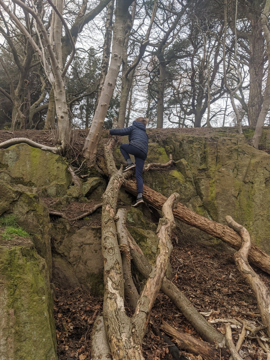 Meredith Opat tweet media