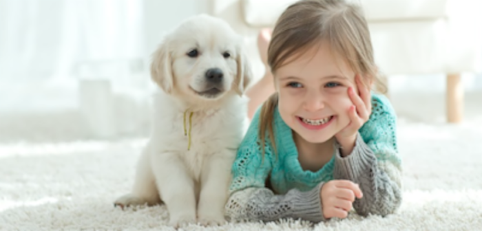 cowellscleaning's tweet image. The current outbreak of coronavirus shows the Deep Clean process offers a complete way to kill bacteria and viruses within our carpets &amp;amp; soft furnishings leaving your home a clean and healthy environment .  cowellscleaning.co.uk