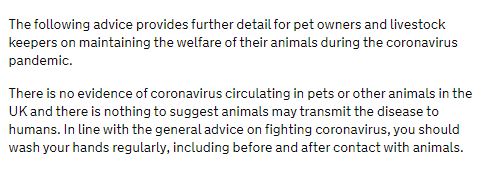 Revised advice for pet owners and livestock keepers on maintaining the welfare of their animals during C19 #horse, #livestock &amp; other #animals contact Council if you’re too ill to look after animals #EHCOVID19 gov.uk/guidance/coron…
