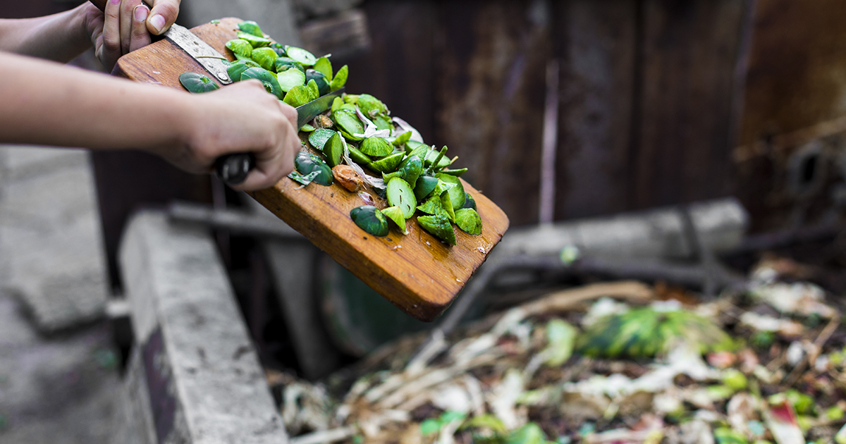 DarlacGardening's tweet photo. As well as continuing to add kitchen scraps to your compost bins, it’s also a great time to chop up any overwintered brassicas that have gone over and need pulling out. A second crop from your crops!
#composting #compostingisfun https://t.co/ePeJMvUvxs