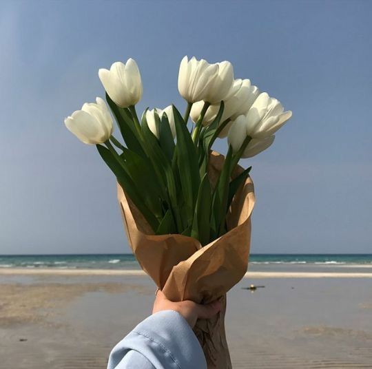 _flower_1234_'s tweet photo. ดอกทิวลิปสีขาว หมายถึง ฉันเสียสละทุกอย่างได้เพื่อคุณ รักที่ไม่หวังผลตอบแทน
:ผมรักคุณแต่ผมก็อยากให้คุณเจอสิ่งที่ดีกว่าผมถึงผมจะไม่ได้อะไรเลย"เเม้เเต่หัวใจของคุณ" https://t.co/EpaSSaQjSV