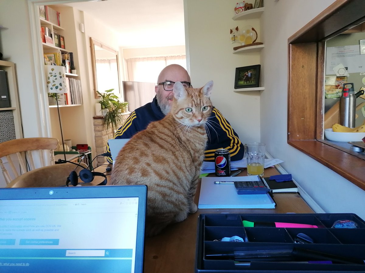 EmilyOttonJames's tweet photo. Celebrating #ourfirstyear battling with Neville the cat whilst administering payroll and pensions. Not the first birthday we expected but the one we are working with @DorsetCouncilUK https://t.co/6fvKoLSqvi
