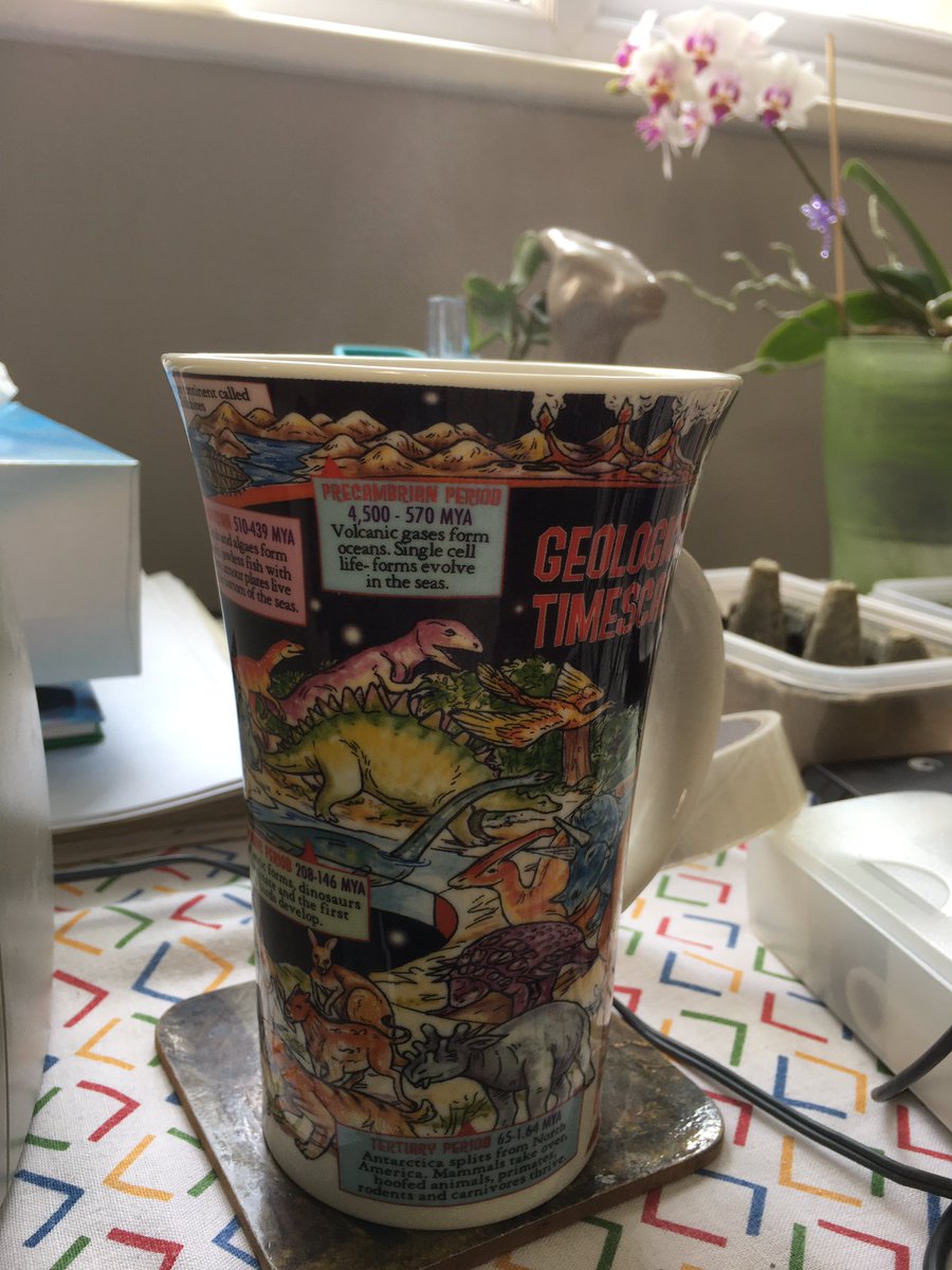 Dr_EmmaNicholls's tweet photo. I really miss tea at @HornimanMuseum with @Cur8torJo, though she’s probably delighted not to be drinking so much of my weak southerner’s tea 🤣

I left my #museummug at work so here is my #geologicaltimescale one 🤓
 
#MuseumsTogether #WorldsBiggestMuseumCoffeeMorning #teaforme https://t.co/UlN7BXFMCO
