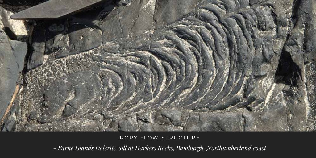 BGSEarthwise tweet media