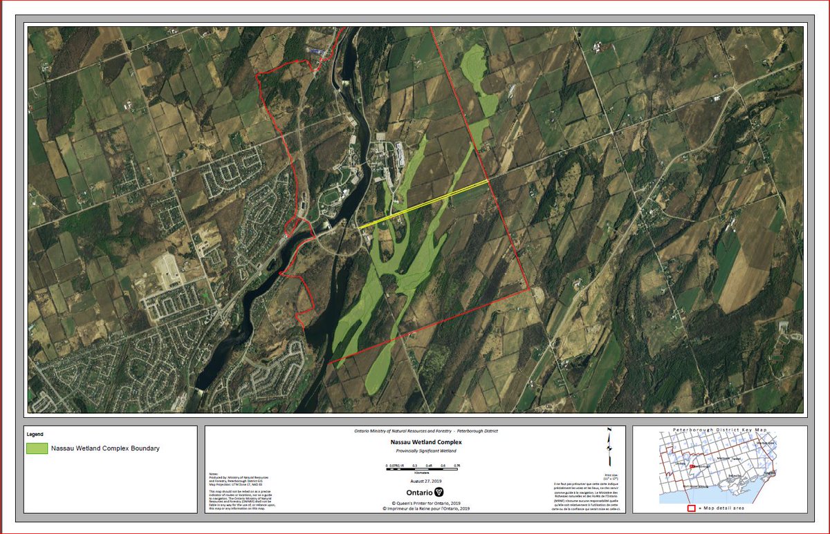 CaribouMxBio's tweet photo. Cool fact - in August 2019 a beautiful biologically rich wetland complex @TrentUniversity was officially recognized as a Provincially Significant Wetland. I've highlighted Pioneer Road in yellow and roughly the campus boundary in red. @CityPtbo @CityPtbo @PtboNature @TrentArthur https://t.co/J4gloTX5n4