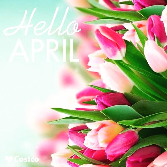 OyekanmiMrs's tweet photo. Hello April!!! 

It's so good to see you!! 

New month New goals!!!

This is the best month yet!!! 

We can grab them goals, they're right in sight!!! 

#gograbit #helloapril #gogetit #goals #april #easter #thisisthemonth #monthofgreatness #newmonth #newgoals #smashit https://t.co/GCfw77oJX8