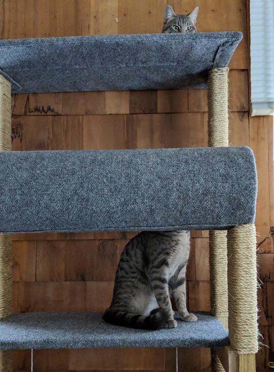 xterminux's tweet photo. What better demonstration can there be of the Wave-Particle Duality?
#QuantumMechanics #SchrödingersCat #YeahScienceBitch https://t.co/fvWfn3sfc2