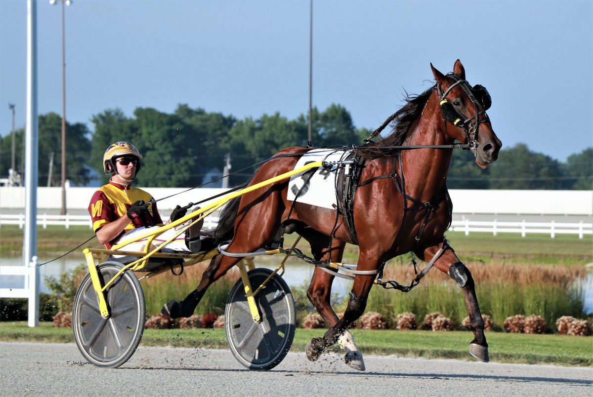 hoosiernations's tweet photo. Good Morning @MacomberJr @triplemracing @Chris_wponies @JoannKi32885615 @rebelsart @jtlburn @kimberlymoier @GlenPeckinpaugh @KathleenBaitzel @elliotgordon2 @dolenski_john @vnssa926 @SadandSulk @BradA53472906 @blongphee67 @INStandardbred @HoP_Racing #Bigbadshark #RickyMacomber https://t.co/y5Q7qrhpkN