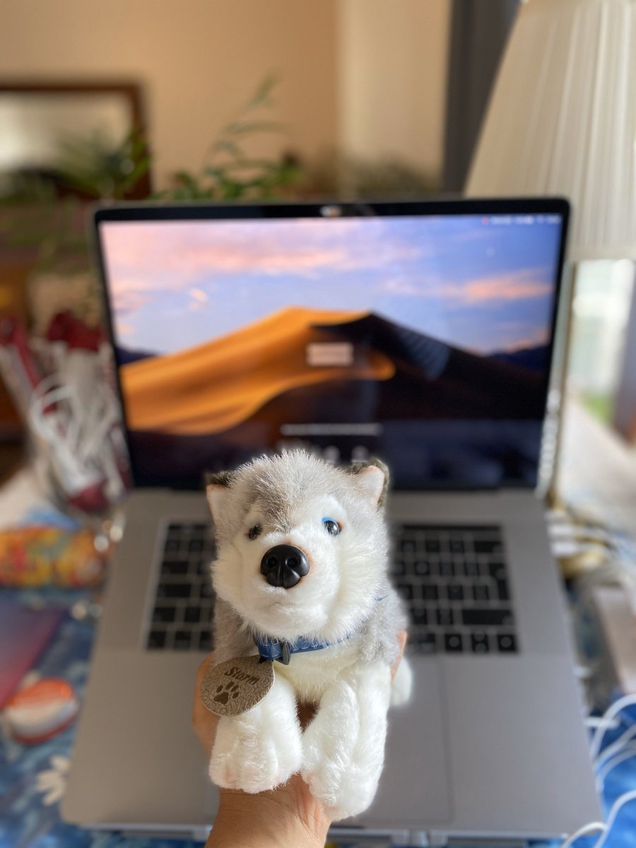 PavitraST tweet media