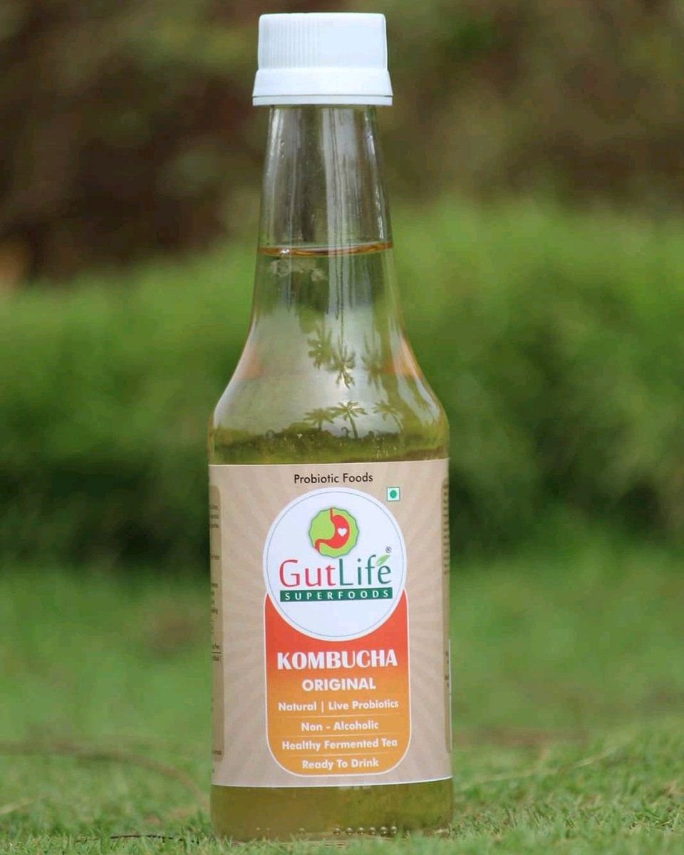 GutLifeWorld's tweet photo. #Original:
Made with Natural Black Tea with Live Probiotics and Culture, 
Results in #Tangy, Naturally Fizzy and Energizing Non Alcoholic Blend Which is Rich in #AntiOxidant, Anti-Microbial Properties, Helps in Improving #Immunity and #GutHealth.

#newlaunch #newflavors #kombucha https://t.co/tAxmjpJEEa