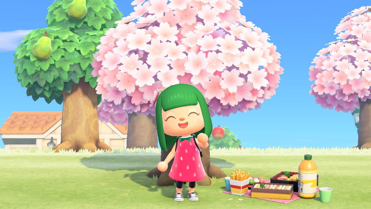 Cherry blossom time! #AnimalCrossing #ACNH #NintendoSwitch