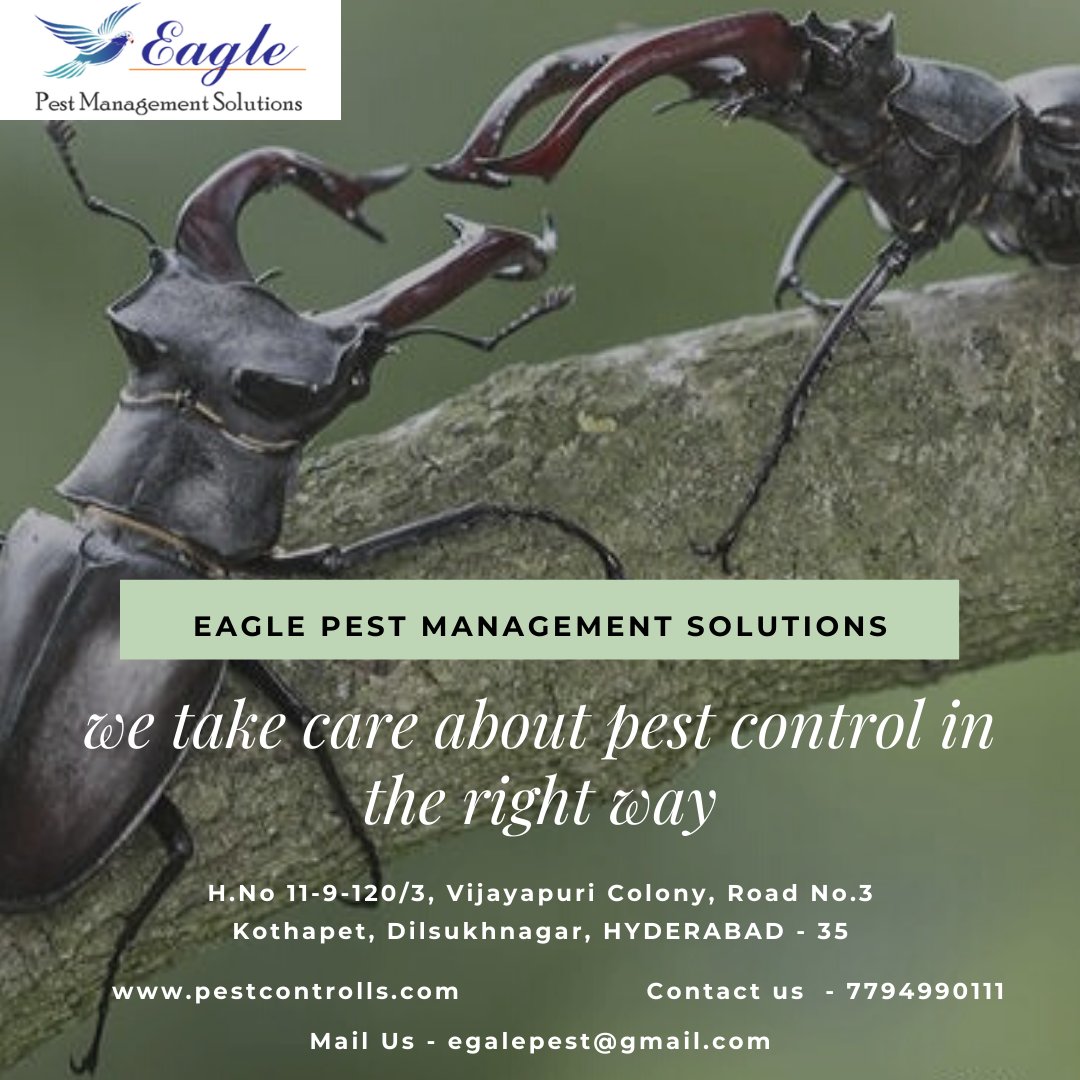 Eagle Pest Management Solutions (eagle_pest_ctrl) Twitter