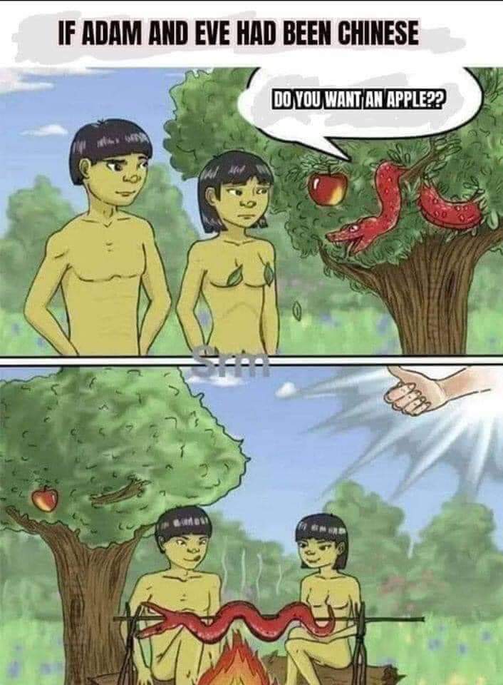 Testosterone & Civilization (@testosteroneciv) on Twitter photo 