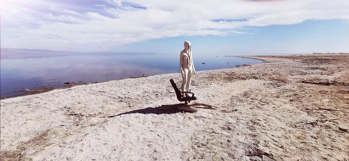 "Desert Creatures: The Salton Sea" - full video out!
youtu.be/c4pd1p9_slc