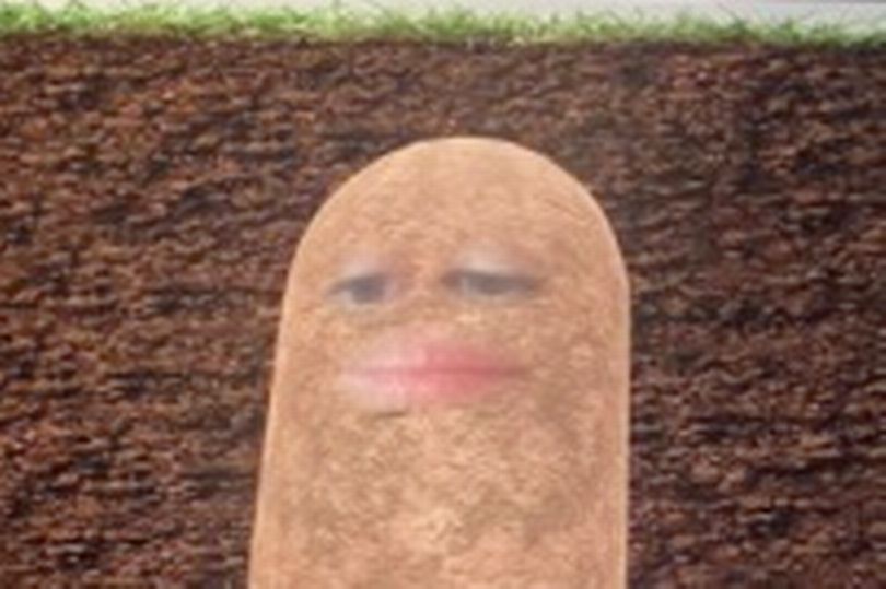 Gérard Collomb, maire de Lyon, bloqué en filtre patate lors de la dernière réunion du Conseil Municipal 
focusur.fr/actualites/202…