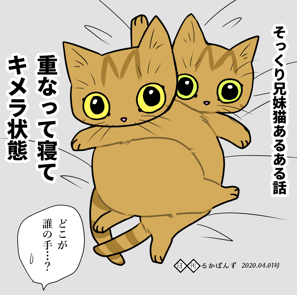 1コマねこ漫画。くっついて寝ると怖い状態になる猫。

#保護猫3兄妹 #猫 #猫漫画 #コミックエッセイ #猫マンガ 