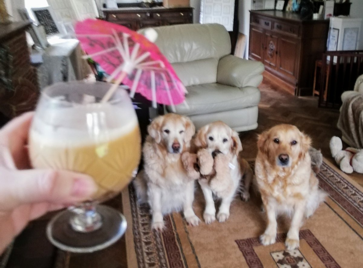 LauraBrambles's tweet image. Things to do during quarantine no. 2. 
Dring your coffee from a crystal goblet ~ add a little class to your morning 😁
#ImSoBoredI #QuarantineActivities