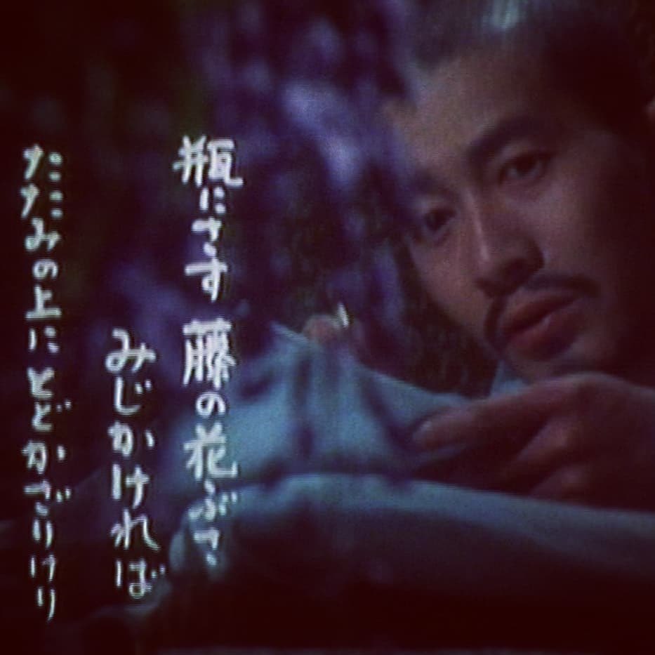 わが兄はホトトギス