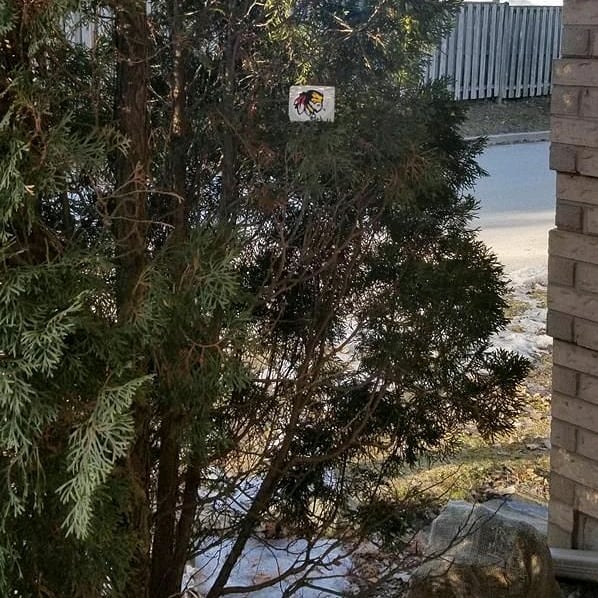 thegrasschief's tweet photo. The Chief practicing social distancing 📸 : Robert⠀
⠀
#MarchContest #GrassChief #GrassChiefTribe #GCTribe #CannabisCommunity #CannabisCulture #Cannabis #Canada #CanadianCannabis #CBD #Edibles #Indica #MedicalMarijuana #Sativa #Hemp #SmokeWeed #WeedCommunity #TravelCanada https://t.co/wXzXMOTKqX