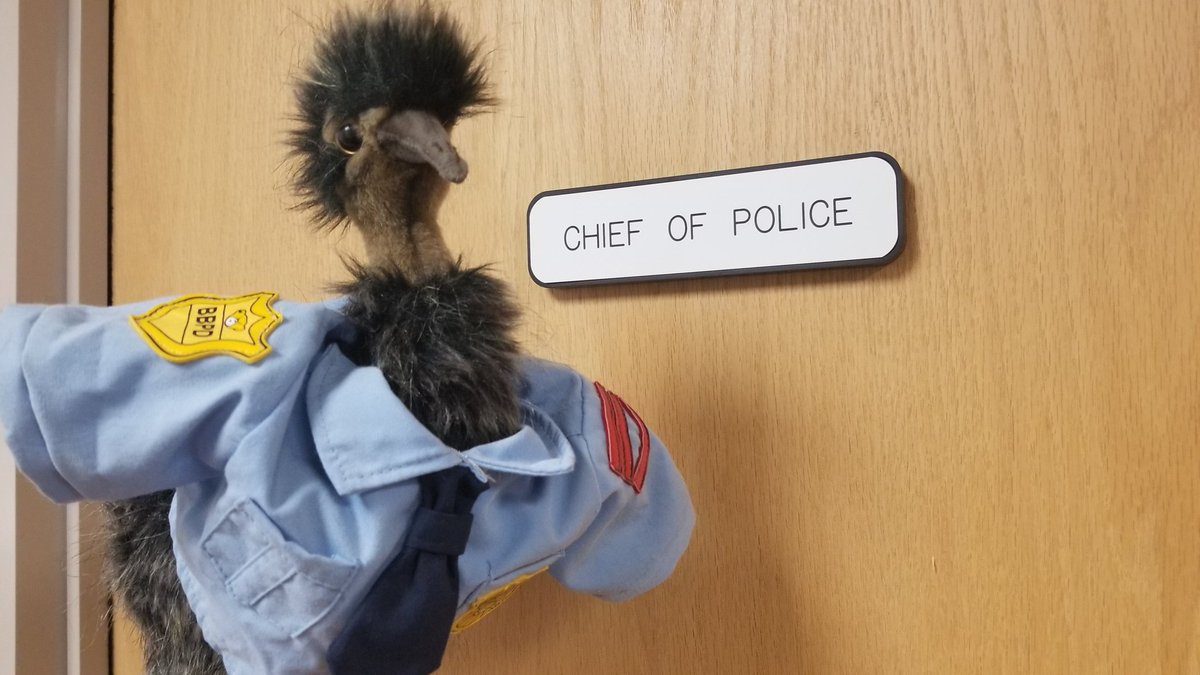 Pittsboro Police Department tweet media