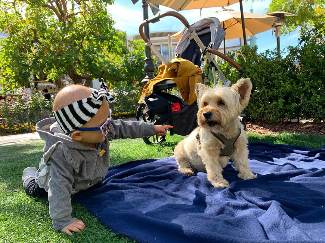 TMI_Uruguay's tweet photo. #TooCuteToHandle ❤️ #XiaShum #CharlieShum 'You’re my boy Charlie! #bffs 🥰' @Shelby_Rabara... Plus #SocialDistancing and toddler fun w @HarryShumJr...#Halby 

#ShadowFam https://t.co/u7m7XIdj51