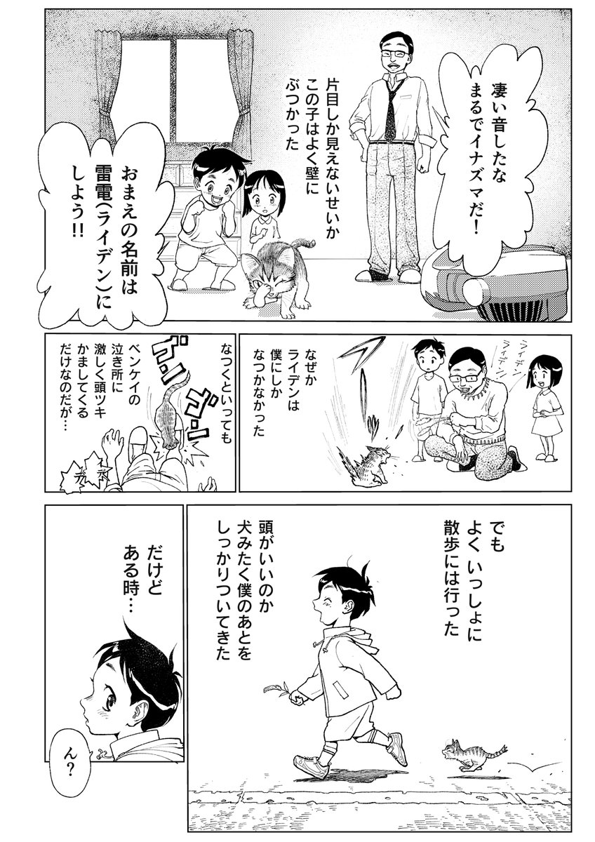 僕が学生の頃 飼っていた猫と、今も膝の上の猫のエピソードを足して創った漫画です。
外で楽しめない昨今なので、8pの短編ですが無料公開します〜
猫漫画『孤高のライデン』①