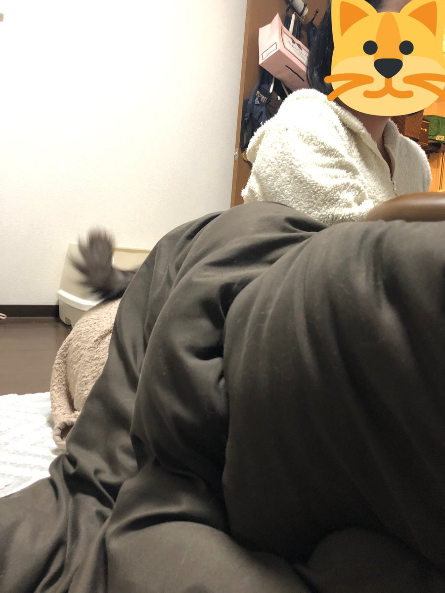 み Pa Twitter 猫の尻尾が生えた妙齢の女性の爆誕である み Pa Twitter 猫の尻尾が生えた妙齢の女性の爆誕である