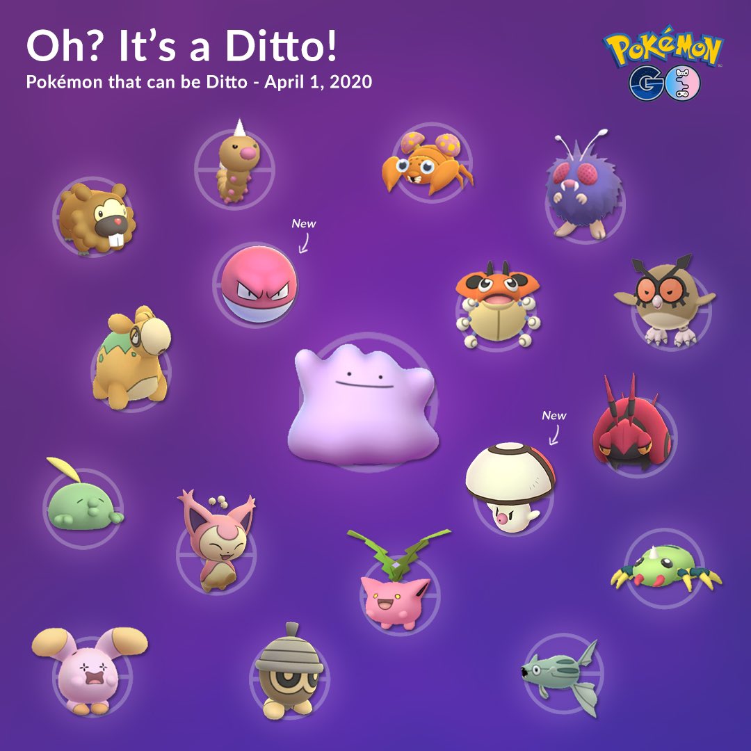 Couple of Gaming on X: #Ditto had its morph pool updated to the