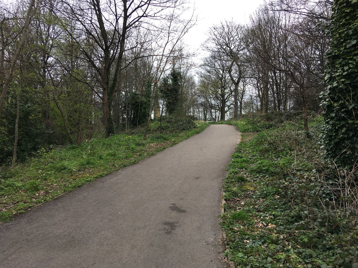 Lockdown day 9. Sheffield's Cholera Monument and Clay Wood. Reminders from another age: what matters in a public health crisis is not only how we cope during it, but also how we remember it, and what we change as a consequence.