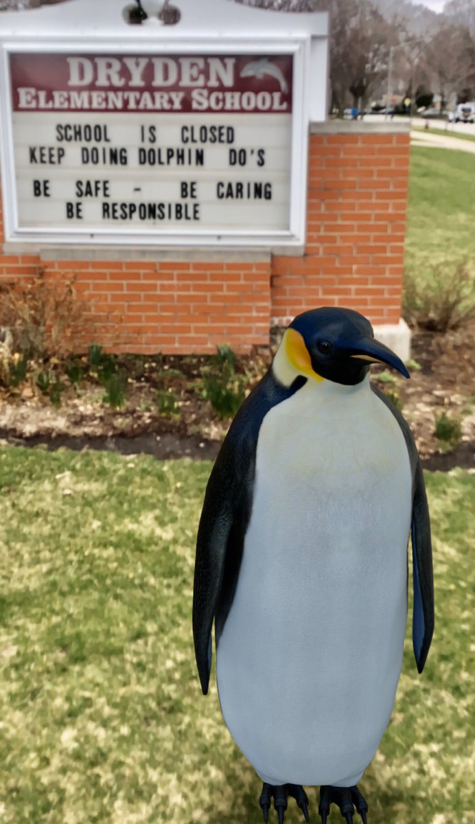 AkemiSessler's tweet photo. Whoa!!! Are penguins migrating to Arlington Heights??? @DrydenSchool https://t.co/1PR6bGkGwV