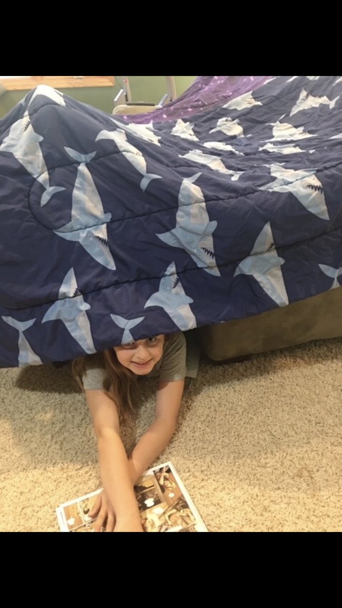 TinaDonnell's tweet photo. One of Sophia’s favorite places to read! #lctitanhill #TH_Principal https://t.co/0ruXcUfCAQ