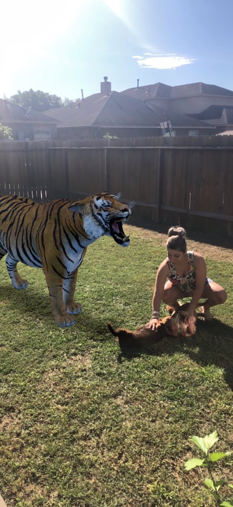 Mrs. Hatton tweet media