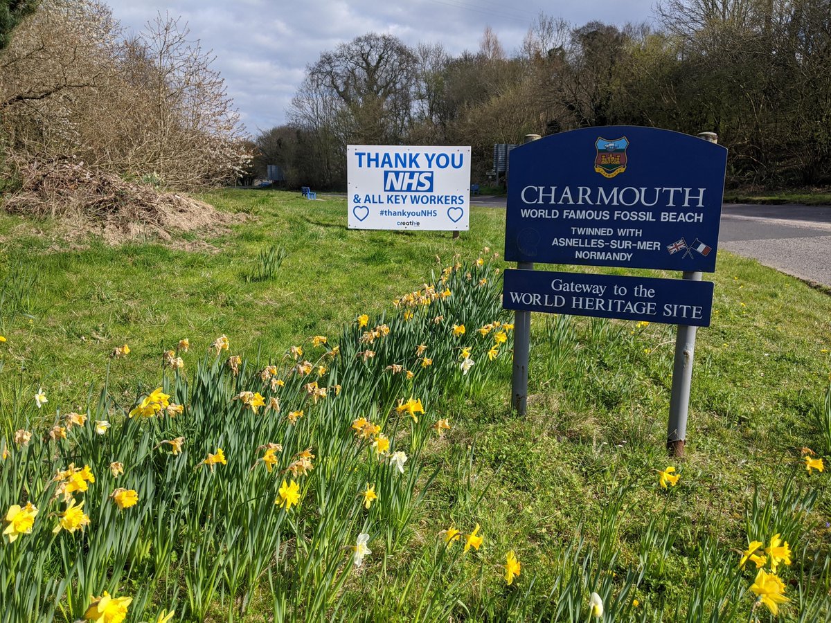 Creative Solutions tweet media