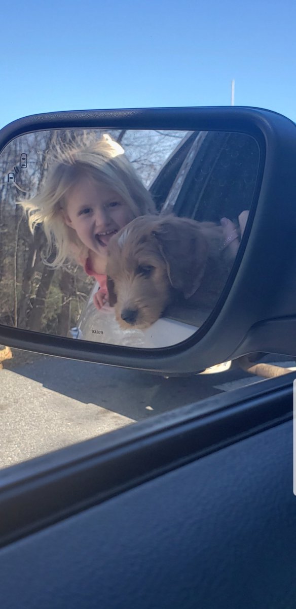 bflynn41010's tweet photo. This girl right here!  Keeps me ony toes!  Hard to believe she's already 5!!  Happy birthday Tessa!! ❤️🎈🎉 https://t.co/6p15HErAAe