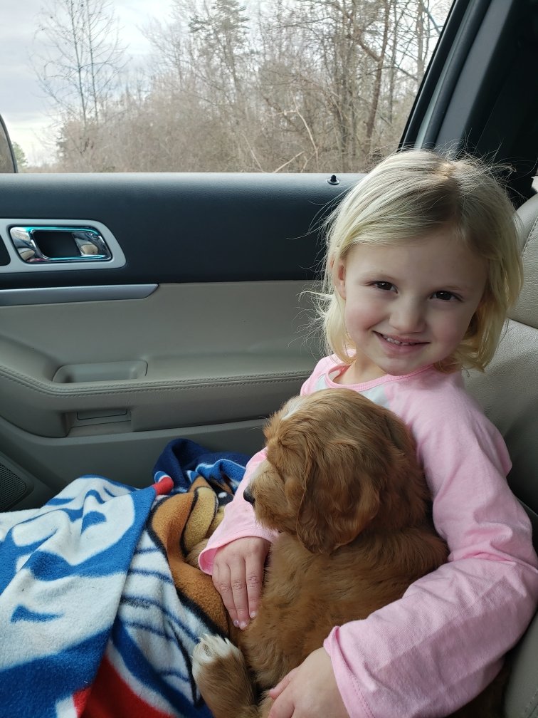 bflynn41010's tweet photo. This girl right here!  Keeps me ony toes!  Hard to believe she's already 5!!  Happy birthday Tessa!! ❤️🎈🎉 https://t.co/6p15HErAAe