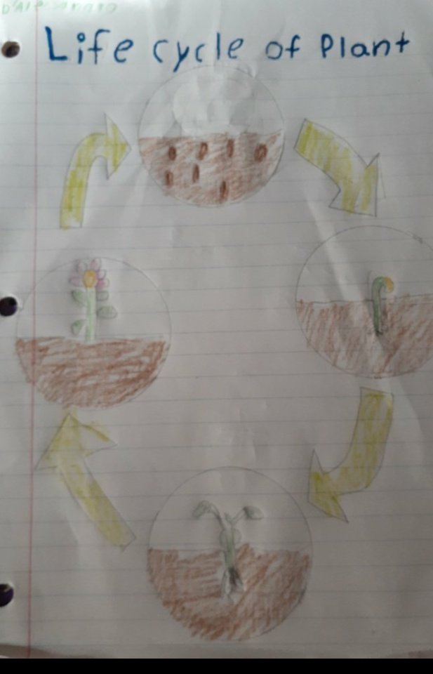 Check out these beautiful life cycles! <a href="/MorenoMustangs/">Joe E. Moreno ES</a> 
Thanks for the awesome assignment <a href="/MsNeihouse/">Ms. Neihouse</a>