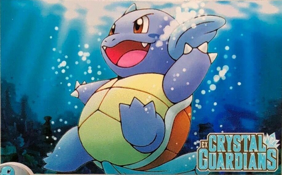 BulbaGanda's tweet photo. Wartortle is perfection 💧💙 https://t.co/XhWJXlnhdJ