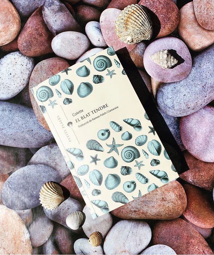 Viena_Edicions's tweet photo. Els #lectorsdeviena feu unes fotos espectaculars quan feu ressenyes. Les que us ha inspirat la deliciosa nouvelle “El blat tendre” de Colette són precioses i ens emocionen.🐚
Compartim unes quantes: https://t.co/f2HxJspcvd